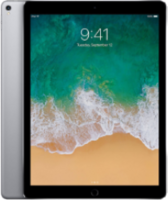 Ремонт iPad Pro 12.9 2015